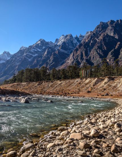 Yumthang Valley