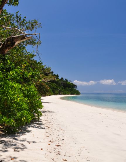 Elephant Beach