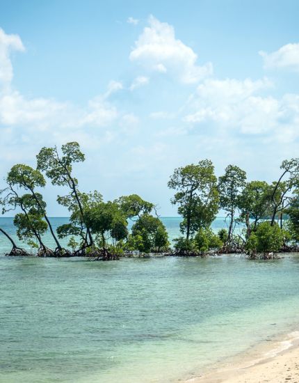 neil island
